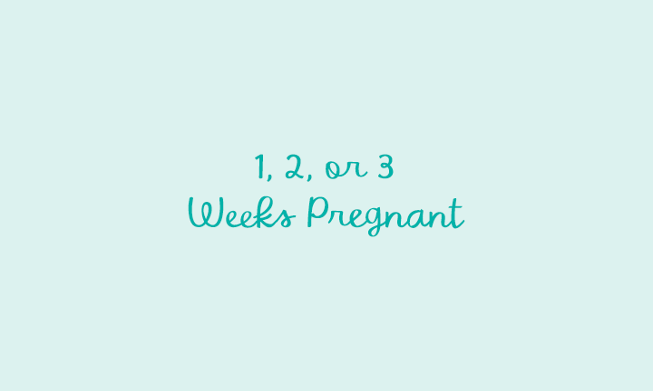 1, 2, or 3 Weeks Pregnant