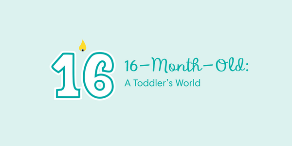 16-Month-Old: A Toddler’s World