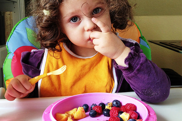 Healthy Toddler Meal Ideas