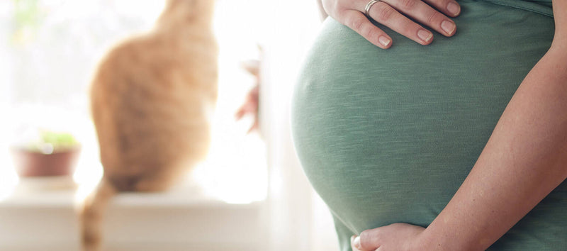 Toxoplasmosis and Pregnancy: Symptoms and Treatment